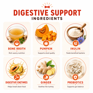 Suplemento para la Salud Intestinal de Mascotas OEM 198g, Caldo de Hueso en Polvo para Perros, Enzimas Digestivas, Probióticos Activos, Fibra de Calabaza - Product Image 5