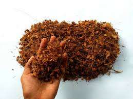 Bloques de chips de cáscara de turba de coco al por mayor para hidroponía, Guía para principiantes, precio al por mayor para plantar ladrillos en jardín y forma de guisante - Product Image 4