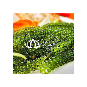 VENTE CHAUDE Algues sèches Raisin de mer Caulerpa Lentillifera Naturel Vegan Superfood Riche Nutrition Vietnam Exportation - Product Image 1