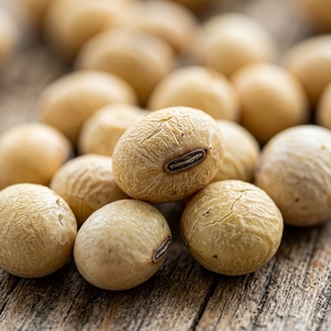 Soja Seca Sin OMG con Alto Contenido de Proteínas, Suministro a Granel - Soja Amarilla para Alimentos y Piensos - Product Image 3