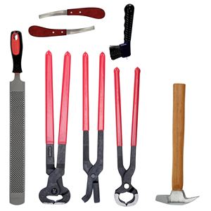 Le kit professionnel de soins du sabot de cheval de haute qualité comprend des pinces à sabot tondeuses marteau couteau fichier brosse Instrument vétérinaire pour - Product Image 5