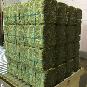 Foin Alfafa Américain pour l'alimentation des animaux/granulés de foin de luzerne/Foin Timothy en balles - Product Image 4