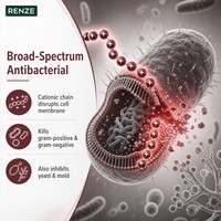 Approvisionnement d'usine : Poudre d'Epsilon Polylysine 98% (e-PL) – Conservateur alimentaire naturel à large spectre, stable à la chaleur pour nouilles de riz
