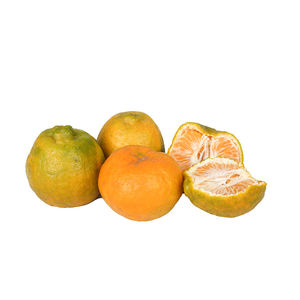 Orgánico Fresh Citrus Fruit Mandarin Orange Precio al por mayor Jugosa naranja a bajo precio - Product Image 3