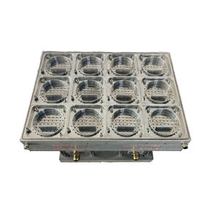 Molde Termoformado para Tapas de Contenedores de Vegetales Desechables Automáticos |   Herramientas para el Envasado de Alimentos y Postres - Product Image 1