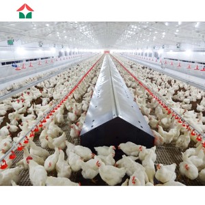 Fabricante Chino <span class=keywords><strong>de</strong></span> Gallineros para la Cría <span class=keywords><strong>de</strong></span> Aves <span class=keywords><strong>de</strong></span> Corral - Product Image 6
