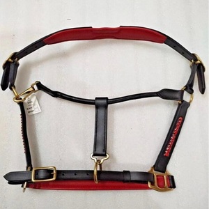 Nouveau design personnalisé licou en cuir rembourré rouge avec chaîne bling en cristaux rouges cheval licou en cuir durable à double couture - Product Image 3