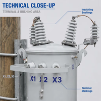 Transformateur monté sur poteau 50 kVA 6 kV à économie d'énergie, résistant à la corrosion IEC, léger, pour réseau de petites entreprises