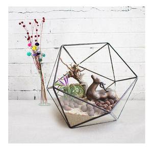 Best Quality Vintage Collection Clear <b>Glass</b> <b>Terrarium</b> Black Finished Iron Frame Geometric Shape for Garden & Office Decorations - Product Image 5