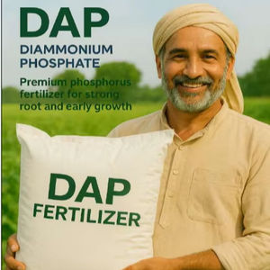 Fertilizante de fosfato de diamonio orgánico de primera calidad (DAP) Fuente de fósforo de alta eficiencia para un rendimiento óptimo de los cultivos - Product Image 1