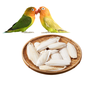 Precio Competitivo para HUESO DE SEPPIA de ALTA CALIDAD para Aves // Sra. Lima - Product Image 1