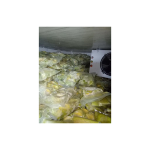 Dés d'avocat congelés de qualité supérieure du Vietnam transformés pour maintenir la fraîcheur et le goût naturels Idéal pour une utilisation dans les salades - Product Image 2