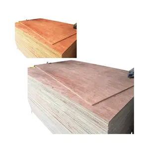 Tingkat tinggi kemasan kayu lapis bambu Pilihan Terbaik Desain Interior 1 tahun garansi disesuaikan desain dari Vietnam