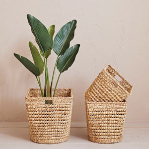 Macetas para Árboles, Macetas de Jacinto de Agua Más Vendidas, Macetas Trenzadas para Plantas, Macetas de Bajo Costo - Product Image 5