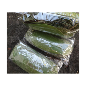 Wholesale Dried Soursop Leaves With High Quality and Best Price From Vietnam for Export With Good Price - Product Image 5
