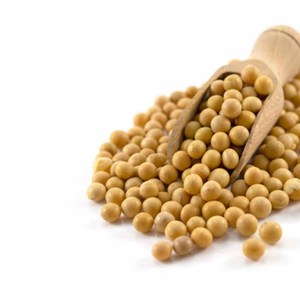 ถั่วเหลืองสีเหลืองปลูกแบบอินทรีย์ & GMO ถั่วเหลืองทั้งเมล็ดแห้ง - Product Image 6