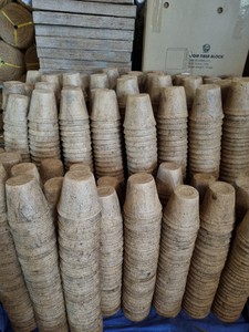 Commande en gros de pots carrés en fibre de coco du Vietnam, fabriqués en fibre de coco naturelle pour des systèmes de propagation végétale commerciaux efficaces - Product Image 6