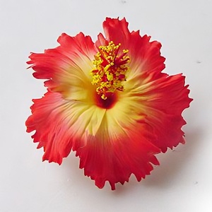 Sản phẩm cao cấp của hoa dâm bụt với hoa văn in hình xăm độc đáo (gói 100 miếng) - Product Image 5