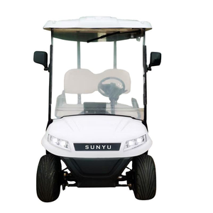 Carrito de Golf Eléctrico de Alta Calidad para 6 Personas, Carrito de Golf Eléctrico de 2 Plazas - Product Image 6