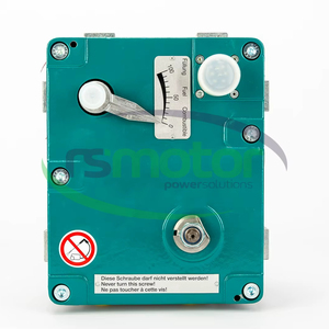 Actuador Original OEM MWM RS-12210285 Controladores de Motor Categoría de Producto - Product Image 1