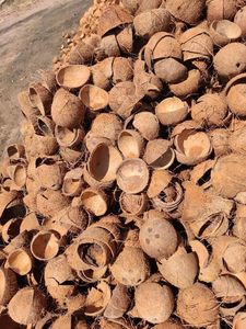 Cuencos Ovalados de Cáscara de Coco Cruda |   Tazón de Comedor Hecho a Mano Natural |   Vajilla Sostenible al por Mayor - Product Image 2