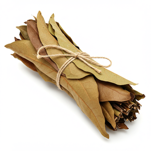 Feuilles de corossol séchées de haute qualité du Vietnam produit agricole en gros - Product Image 4