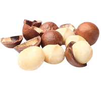 Nouvelle récolte 2024 noix de macademia naturelles décortiquées/non décortiquées à faible coût/noix de macadamia sèches crues de qualité en vrac/amande de qualité-ANNA DO
