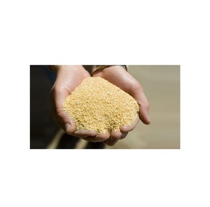Harina de Soja Barata en Venta, Alimento de Proteína Premium de Alta Calidad, Ideal para Animales, Aves de Corral, Ganado, Seguro - Product Image 4
