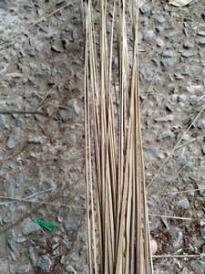 PALOS DE ESCOBA DE COCO DE VIETNAM-Los mejores productos escoba de coco vietnamita con alta calidad de Vietnam - Product Image 3