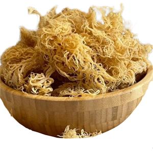 La mousse de mer Premium, cueillie dans les eaux vierges, fournit une source naturelle de minéraux vitaux - Product Image 5