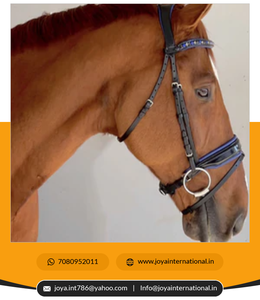 Brida de doma multifuncional ligera de alta calidad, filete de patente inteligente con relleno negro, suministro a granel - Product Image 4