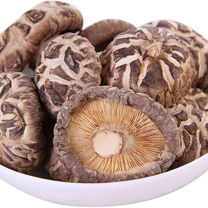 Setas Shiitake deshidratadas de exportación a granel de alta calidad tira al por mayor seta de botón marrón a granel - Product Image 1
