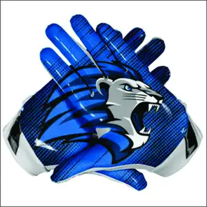 Neueste neue Design und Logo Männer Hochwertige profession elle American Football Handschuhe von Pakistan gemacht