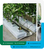 Sacs de culture en cocopeat Kopeat Coco Fraise 20L de haute qualité 100% pour jardinage hydroponique toutes saisons en serre, intérieur noir
