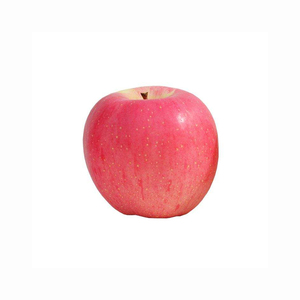 Red Delicious Apple Venta al por mayor Origen Bulk Sweet Red Delicious, Gala, <span class=keywords><strong>Granny</strong></span>, Starking Manzanas Red Delicious Apple Fuji Appl - Product Image 5
