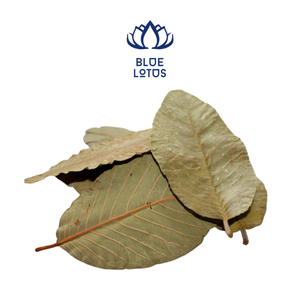 ใบฝรั่ง - Product Image 1