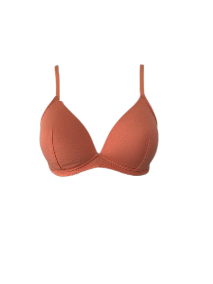 สีชมพูพีช