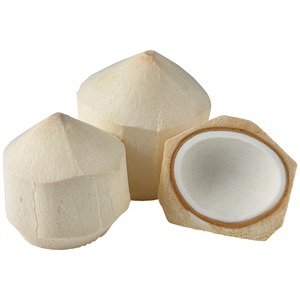 Super Hot Organic Fresh Young Coconuts avec Shell Produit spécial de haute qualité et meilleur prix - Product Image 5