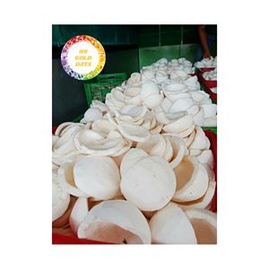 Viande de noix de coco congelée de couleur blanche naturelle du fournisseur du Vietnam processus IQF goût sucré pour boissons et recettes emballage en vrac - Product Image 4