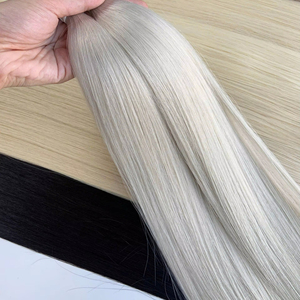 Prix de gros Extensions de cheveux en vrac Cheveux humains vietnamiens Double noyade 100 grammes Couleurs claires 24 pouces - Product Image 1