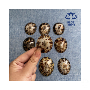 COQUILLES DE LIMPETTE NATURELLES ARTISAN PIÈCES FAITES MAIN DURABLES ET ÉCO CONSCIENTES POUR FEMMES ET MÈRES OU BÉBÉS - Product Image 1