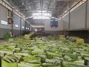 ใบกล้วยสีเขียวและธรรมชาติ/การใช้งานแบบดั้งเดิม/ค่าพรีเมียม/ผลิตในเวียดนาม-คาริล - Product Image 3