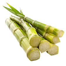 CAÑA DE AZÚCAR CONGELADA DULCE DE VIETNAM | EMBALAJE OEM | PRECIO DIRECTO DE FABRICA | VDELTA - Product Image 5