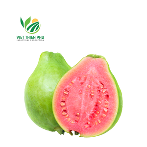 เวียดนามฝรั่งสีชมพูแช่แข็งสามารถส่งออกในราคาที่ถูกที่สุด - Product Image 5