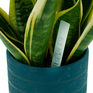 TG60608 HDPE Material Seedling <b>Marker</b> <b>for</b> <b>Plant</b> Seeds 10PCS/KPL Labeling Tags - Product Image 6