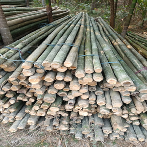 เสาไม้ไผ่ขนาดใหญ่พิเศษขนาด28ฟุต2นิ้วสำหรับนิทรรศการในสวนก่อสร้าง - Product Image 5