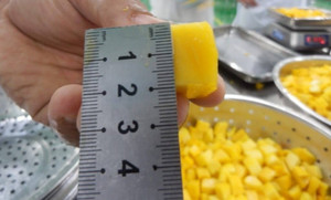 2024 NOUVEL ARRIVÉ PRIX D'USINE DOUX IQF ENTIER CONGELÉ MANGUE FRUITS - Product Image 4