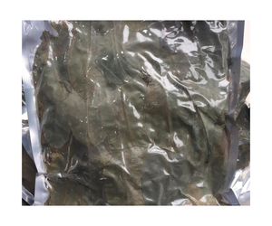 Hoja de Guanábana seca-Hojas de fruta de Graviola secas de Vietnam para hacer té recién con precio competitivo para la exportación - Product Image 1