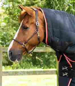 Waterproof breathable equestrian <b>horse</b> rugs premium durable riding <b>blankets</b> custom design factory direct supply - Product Image 5
