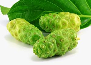 Fruta Noni congelada de gran tamaño/fruta Noni congelada de buena calidad - Product Image 2